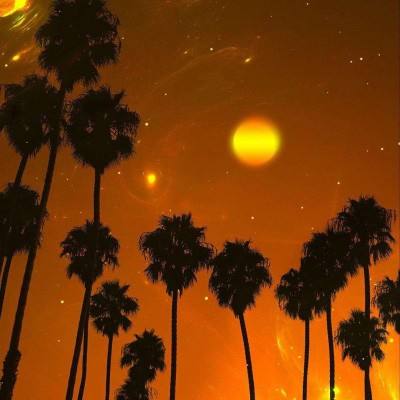 天下彩网站下载手机版